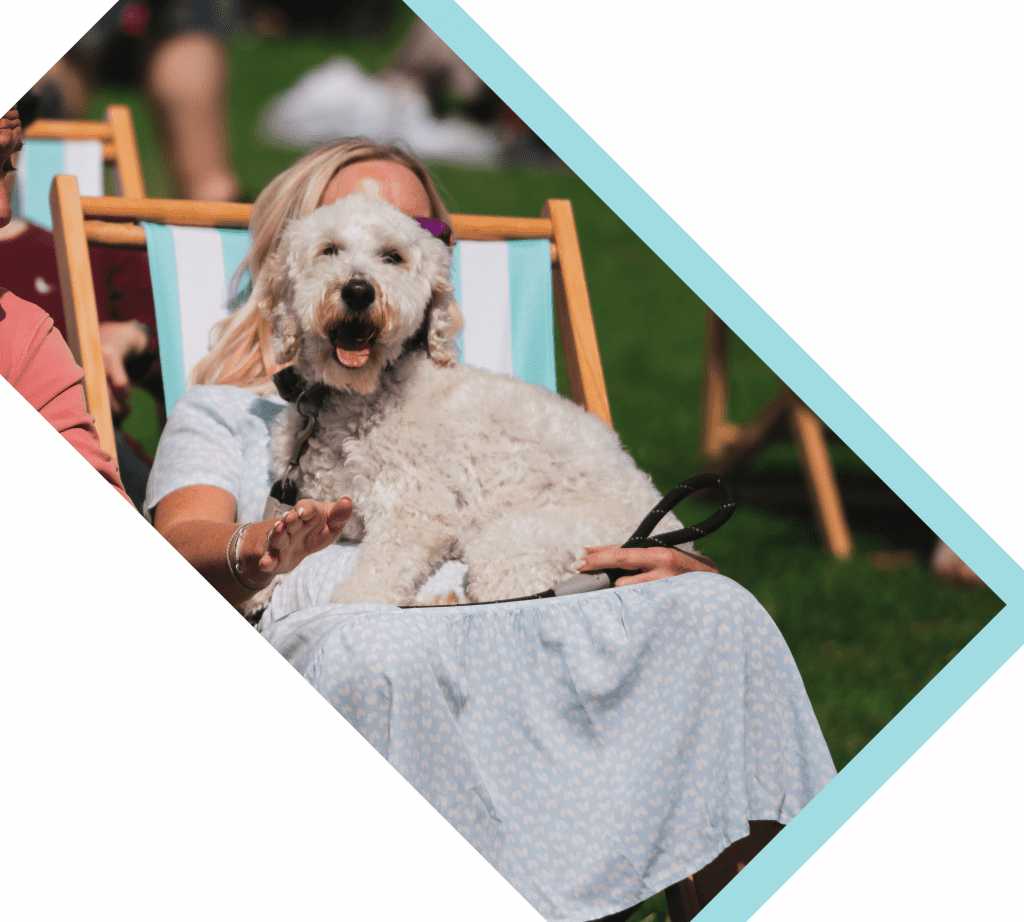Dog friendly and plenty of deckchairs to sit and relax, listen to the live music on the main stage and taste the international street food
