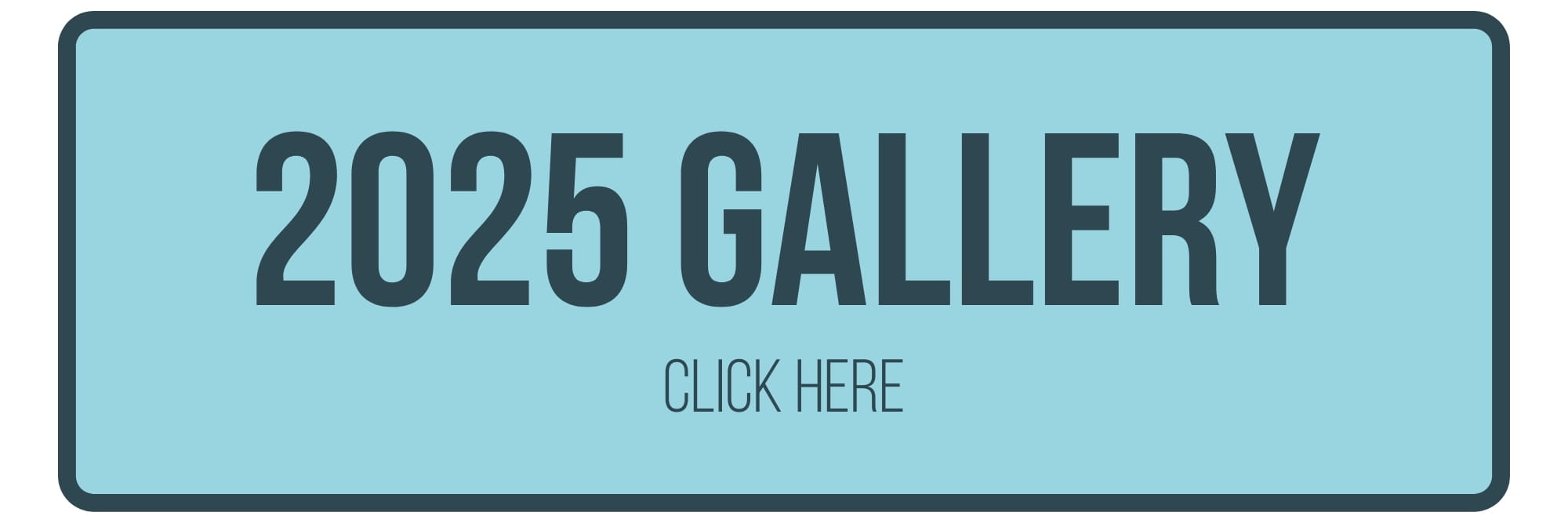 Harrogate Food and Drink Festival 2025 Gallery